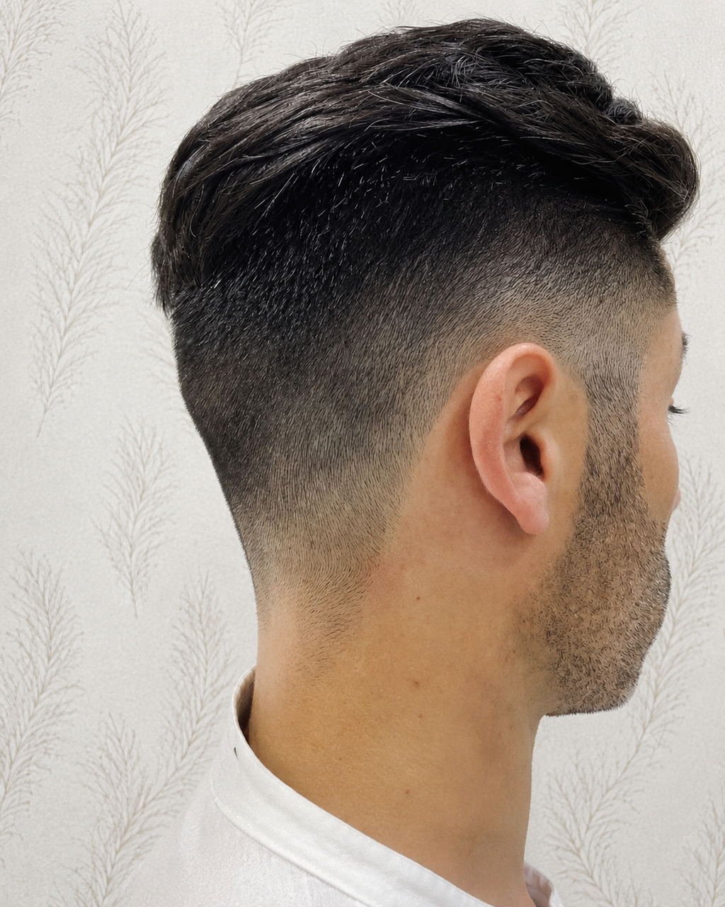 Corte de Caballero