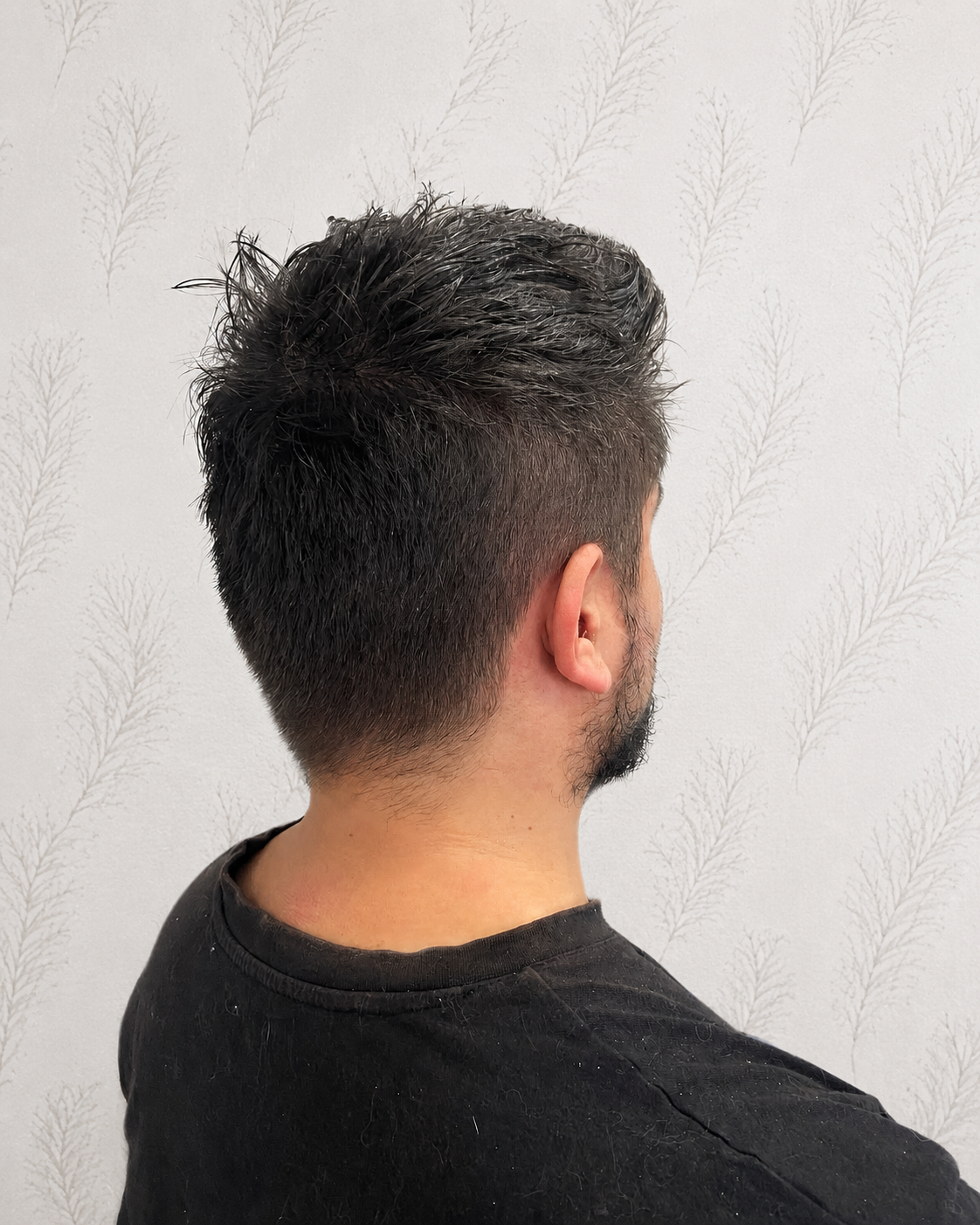 Corte de Caballero
