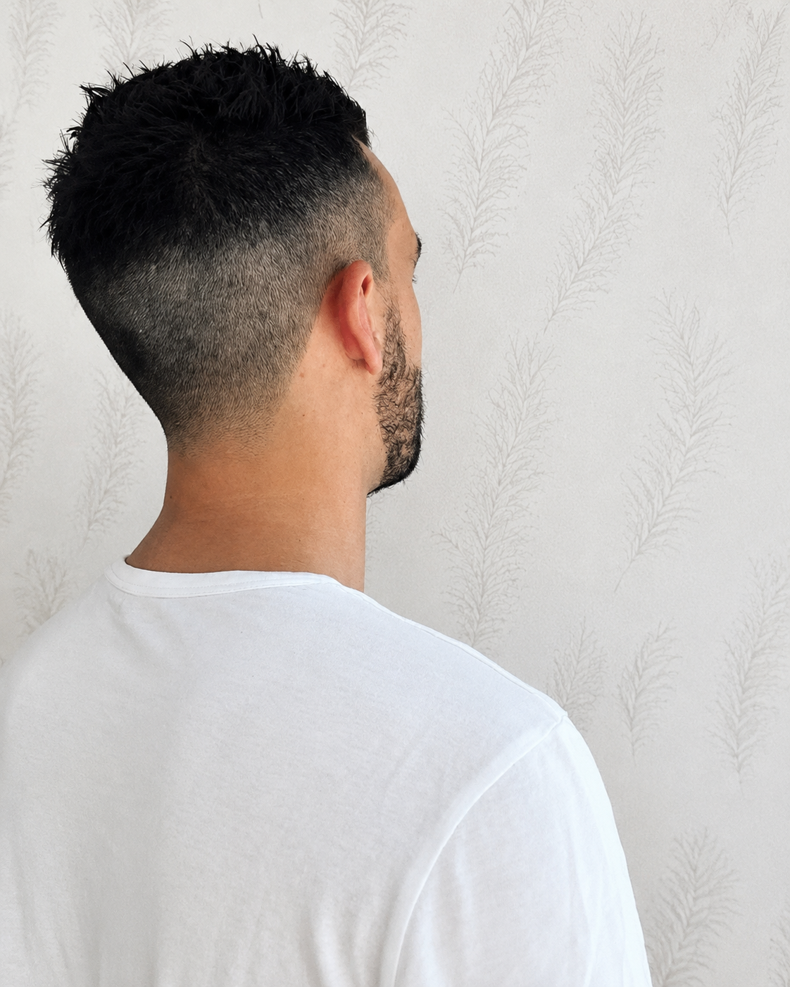 Corte de Caballero