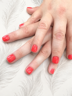 Manicura y Pedicura