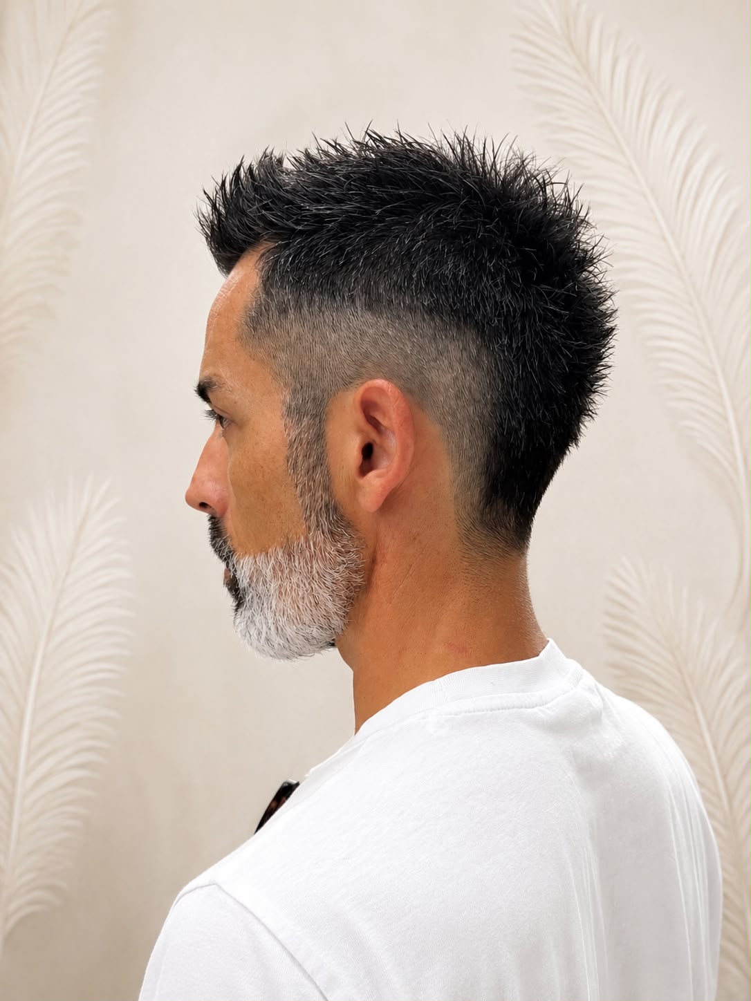 Corte de Caballero