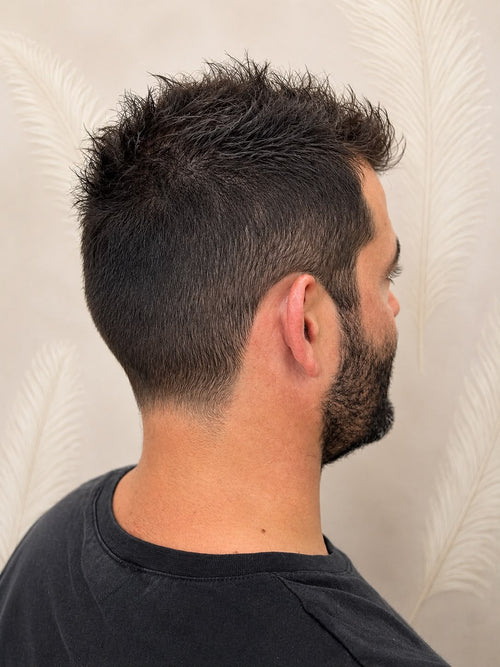 Corte de Caballero